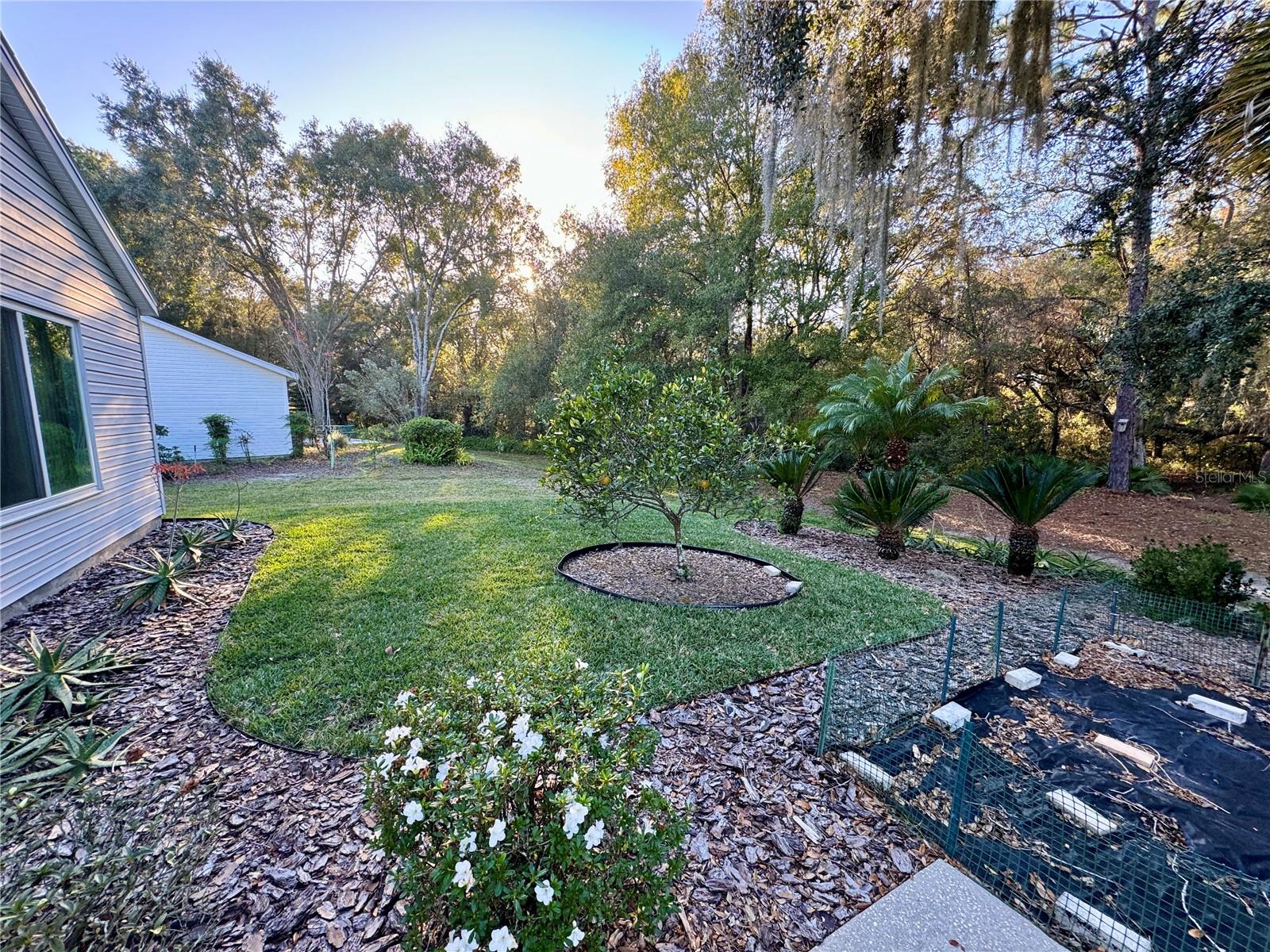 VIEWS OF PALATLAKAHA RIVERBED