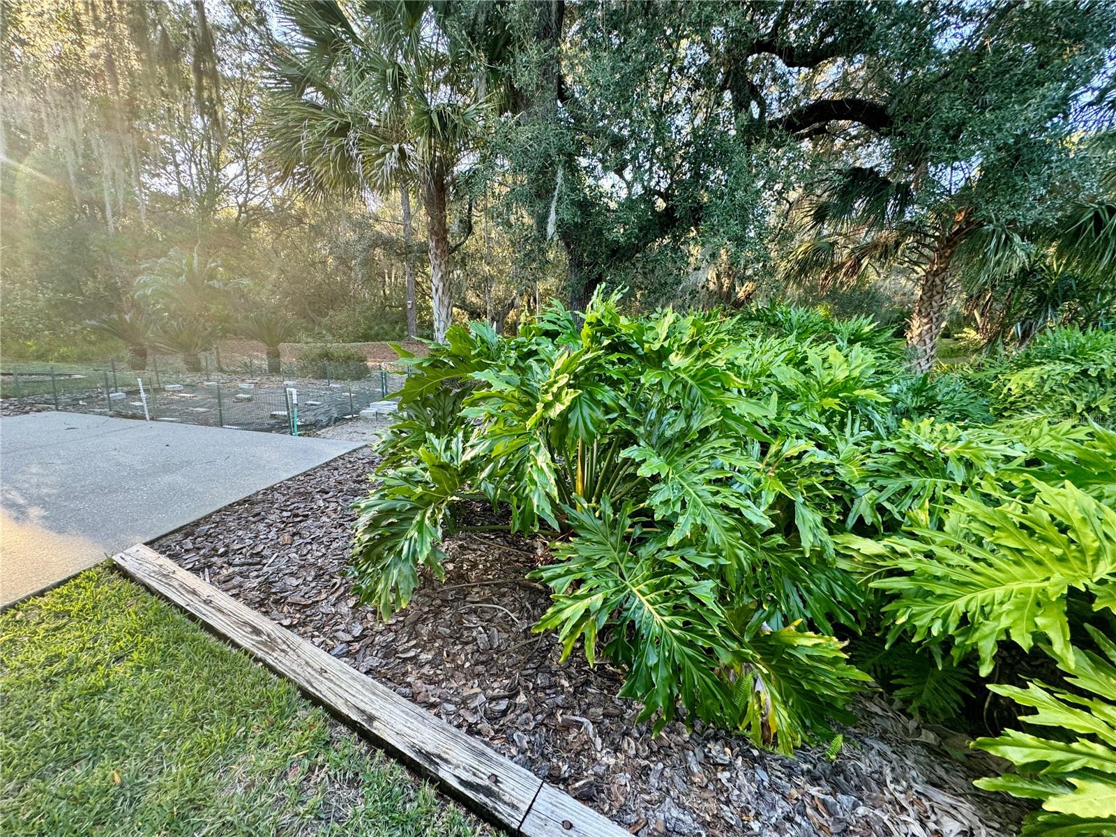 LANDSCAPED SIDE VIEWS