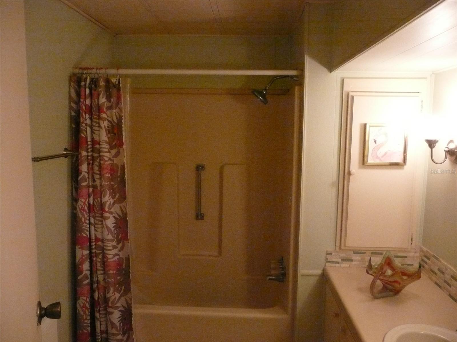 Shower/Tub with the safety of grab rail