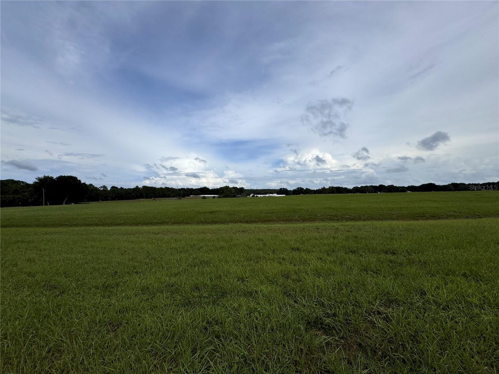 Marion County Retention Pond behind property.