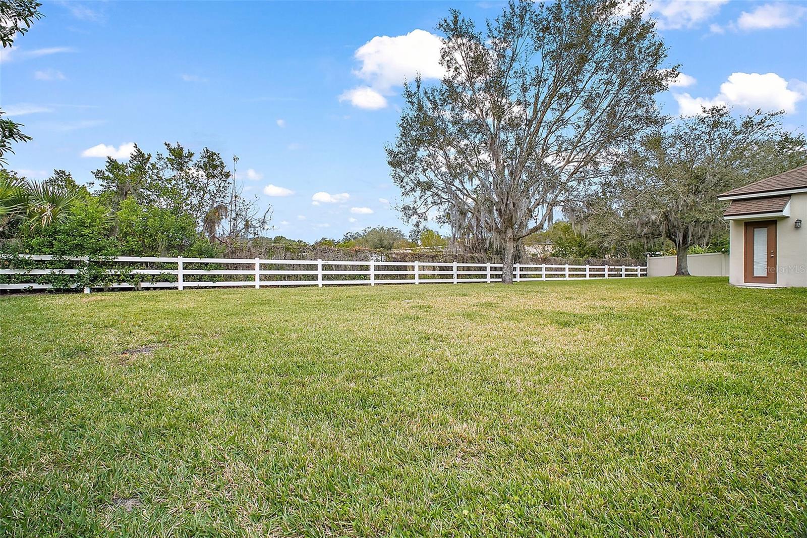 large backyard-fully fenced with PVC fence