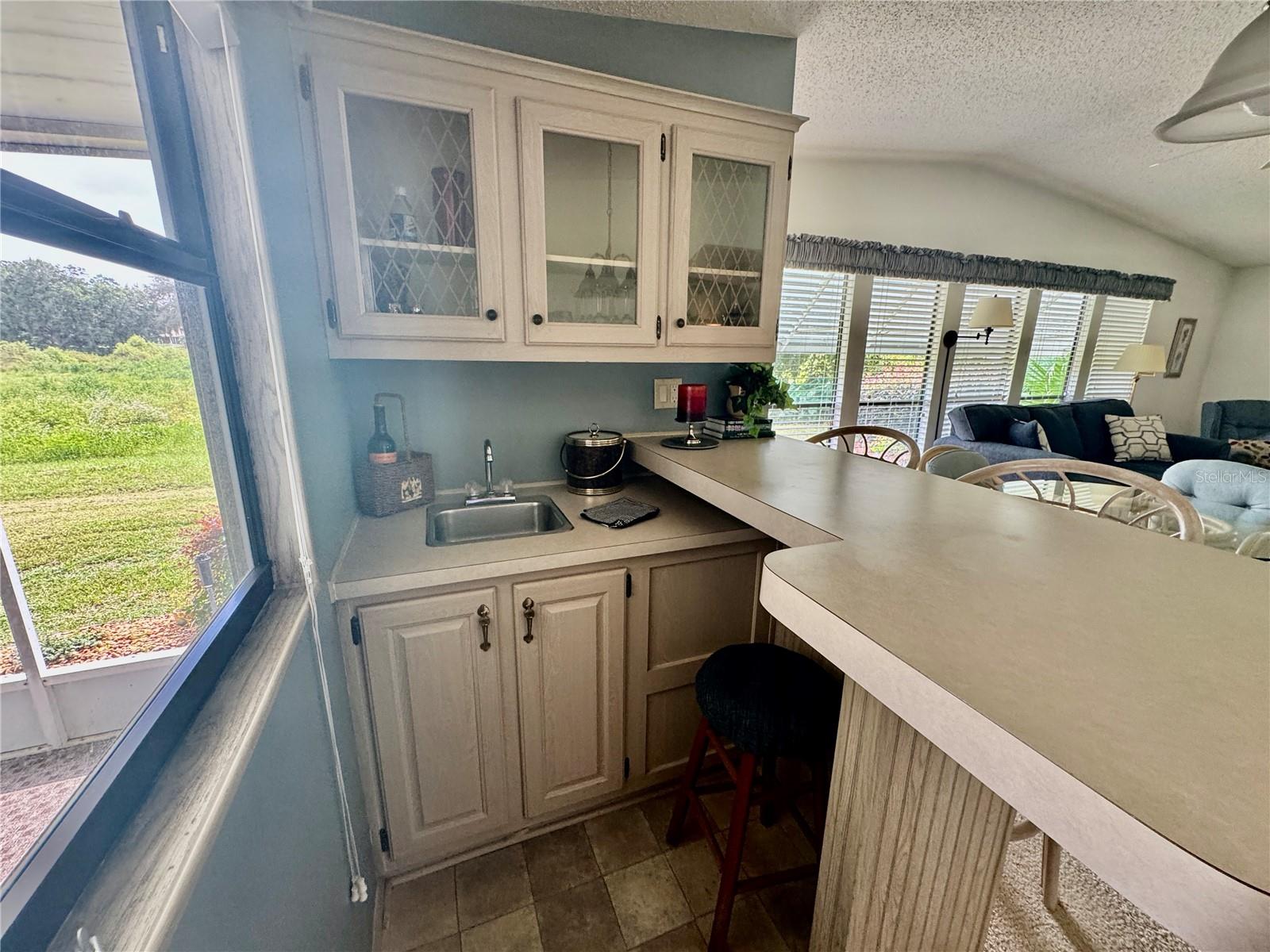 BAR COMPLETE WITH STORAGE AND SINK