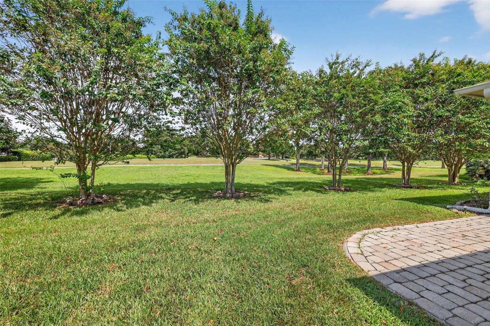 View of the back yard and golf course
