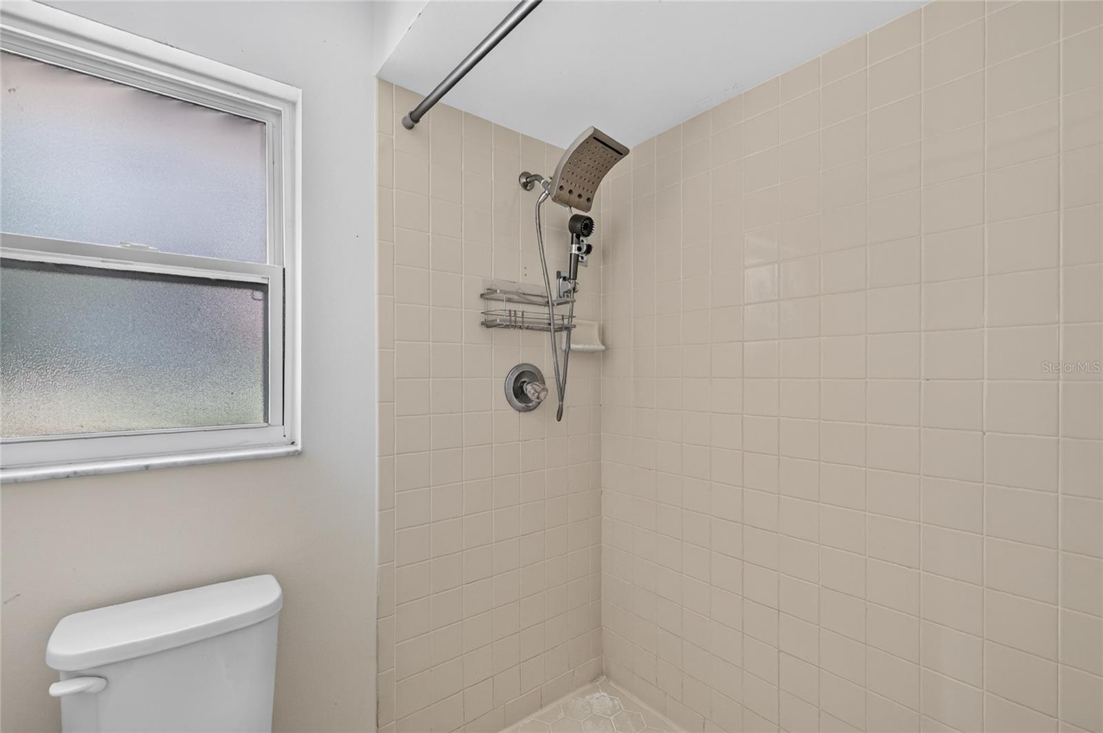 Primary Shower